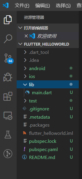 vscode flutter项目结构树